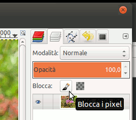 La nuova opzione blocca i pixel