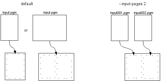 Input Files