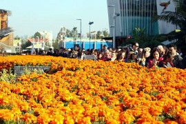 Tutti i colori dell’EXPO 2015