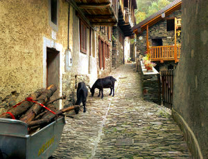Monteviasco